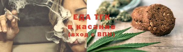 гашик Аркадак