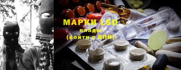 гашик Аркадак
