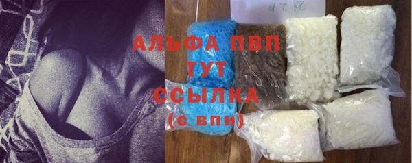 гашик Аркадак