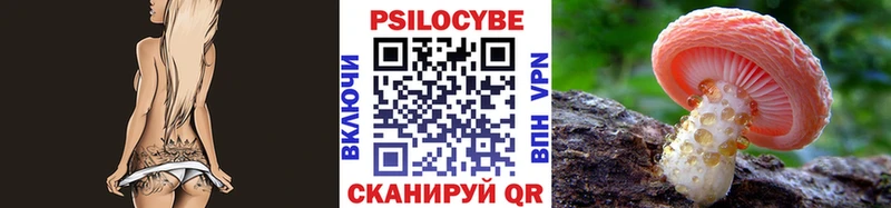 Псилоцибиновые грибы Psilocybe  хочу   Кудрово 