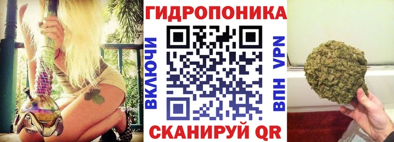 Конопля Bruce Banner Кудрово